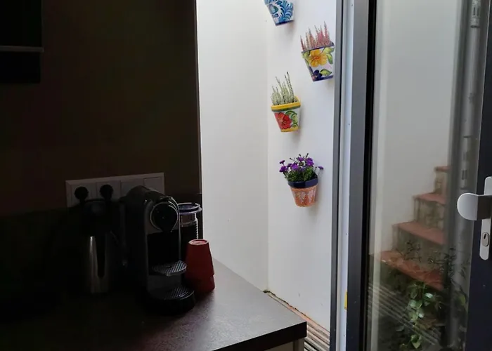 Appartamento Short 33 *