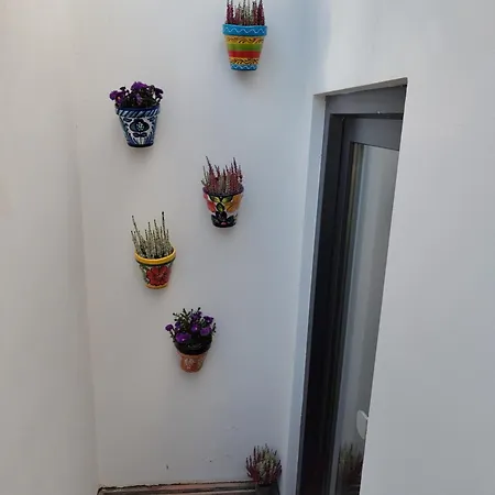 Short 33 *